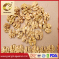 The Best Quality Walnut Kernels